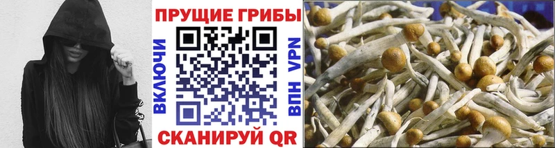 Псилоцибиновые грибы мухоморы  Йошкар-Ола 